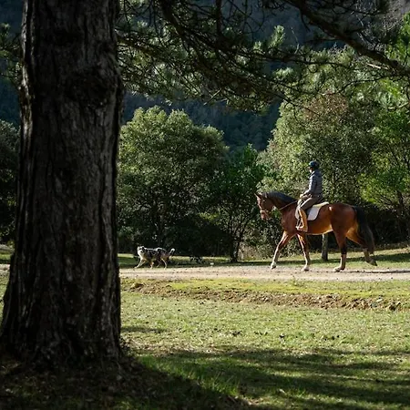 Cavalier Loft Domaine De 아파트 Greffeil