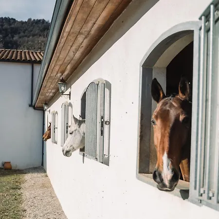 Cavalier Loft Domaine De *