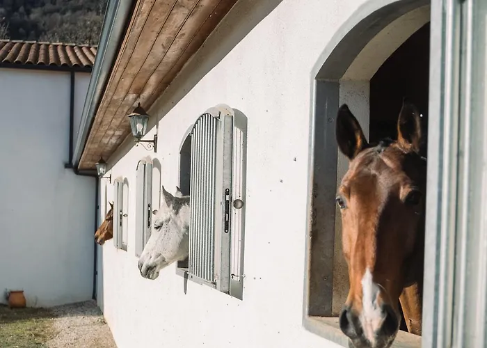 Cavalier Loft Domaine De *